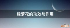 绿萝花的功效与作用