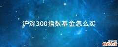 沪深300指数基金怎么买