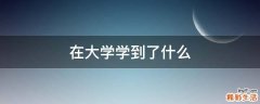 在大学学到了什么