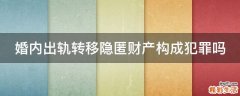 婚内出轨转移隐匿财产构成犯罪吗