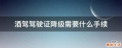 酒驾驾驶证降级需要什么手续