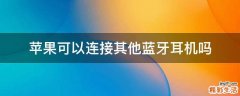 苹果可以连接其他蓝牙耳机吗