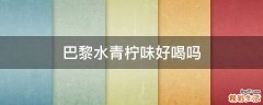 巴黎水青柠味好喝吗