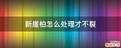新崖柏怎么处理才不裂