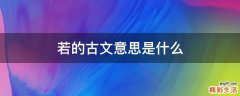 若的古文意思是什么