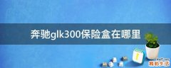 奔驰glk300保险盒在哪里
