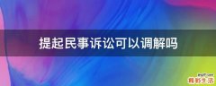 提起民事诉讼可以调解吗