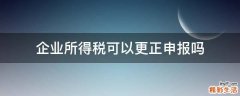 企业所得税可以更正申报吗