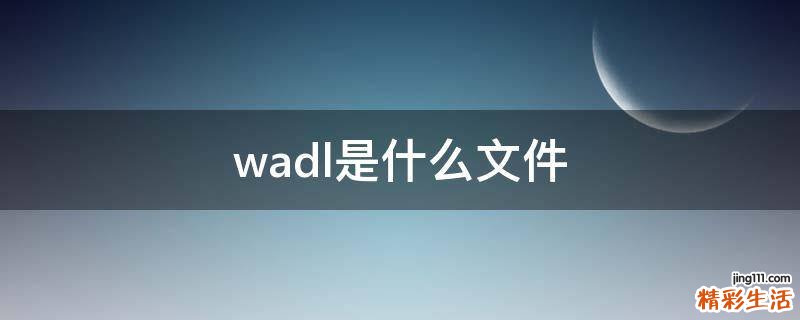 wadl是什么文件