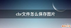 cbr文件怎么保存图片