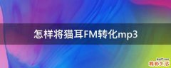 怎样将猫耳FM转化mp3