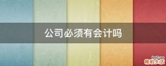 公司必须有会计吗