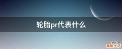 轮胎pr代表什么