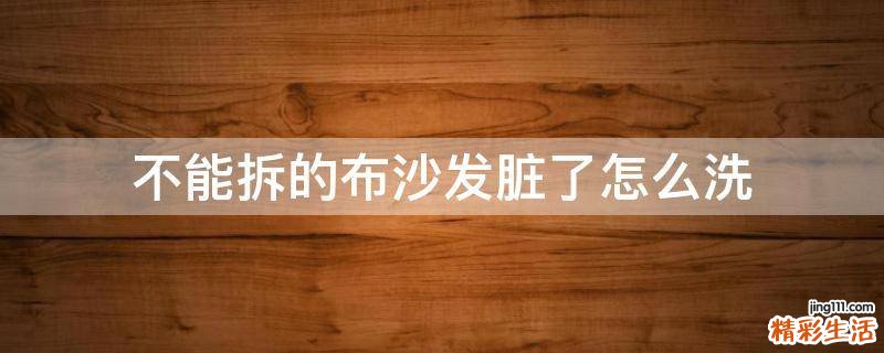 不能拆的布沙发脏了怎么洗