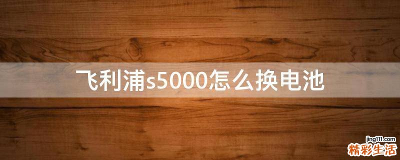 飞利浦s5000怎么换电池