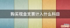 购买现金支票计入什么科目