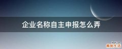 企业名称自主申报怎么弄