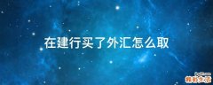 在建行买了外汇怎么取