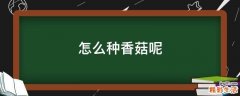 怎么种香菇呢