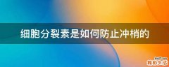 细胞分裂素是如何防止冲梢的