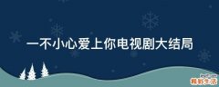 一不小心爱上你电视剧大结局