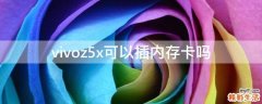 vivoz5x可以插内存卡吗