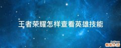 王者荣耀怎样查看英雄技能