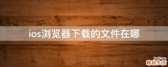 ios浏览器下载的文件在哪
