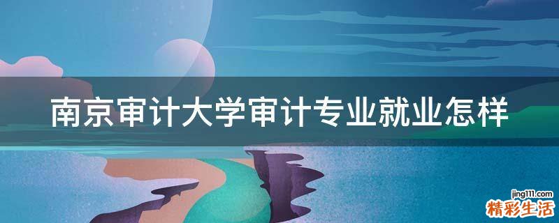南京审计大学审计专业就业怎样