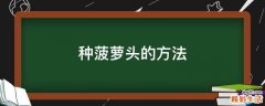 种菠萝头的方法
