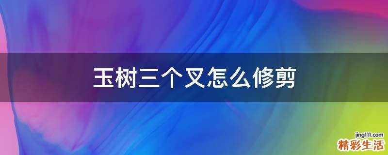 玉树三个叉怎么修剪