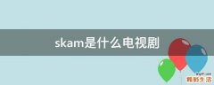 skam是什么电视剧