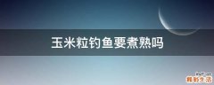 玉米粒钓鱼要煮熟吗