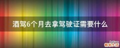 酒驾6个月去拿驾驶证需要什么