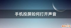 手机投屏如何打开声音