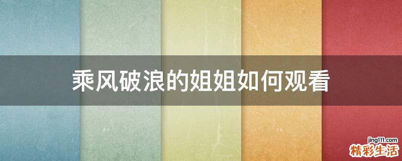 乘风破浪的姐姐如何观看