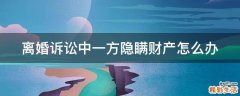 离婚诉讼中一方隐瞒财产怎么办