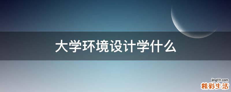 大学环境设计学什么