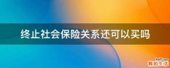 终止社会保险关系还可以买吗