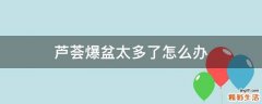芦荟爆盆太多了怎么办
