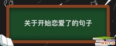 关于开始恋爱了的句子