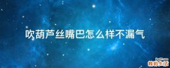 吹葫芦丝嘴巴怎么样不漏气