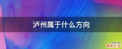 泸州属于什么方向