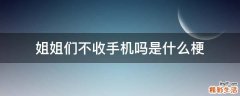 姐姐们不收手机吗是什么梗