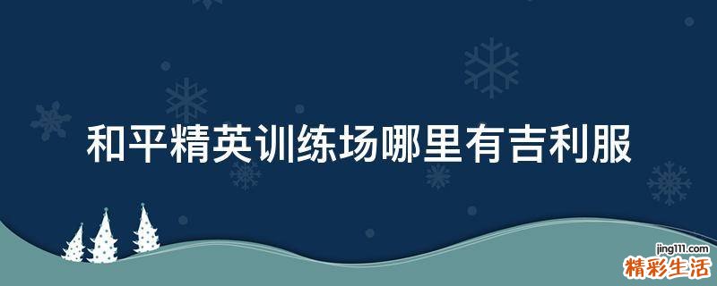 和平精英训练场哪里有吉利服