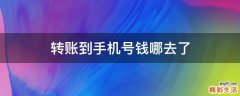 转账到手机号钱哪去了