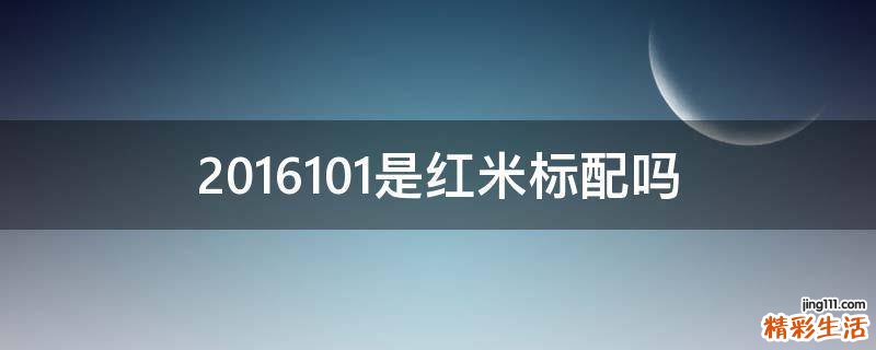 2016101是红米标配吗