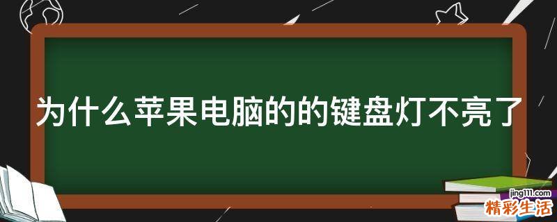 为什么苹果电脑的的键盘灯不亮了
