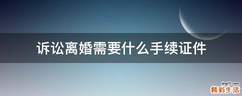 诉讼离婚需要什么手续证件