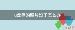 u盘存的照片没了怎么办